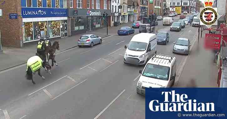 UK mounted police chase down man holding mobile phone while driving