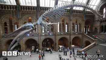 UK tourism: Visitor attractions suffering long Covid - industry body