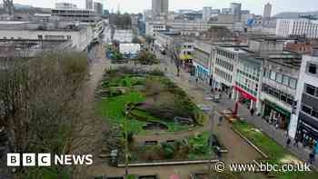 Plymouth trees: Call for independent inquiry into felling