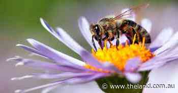 Neither side has committed to locking in biosecurity funding