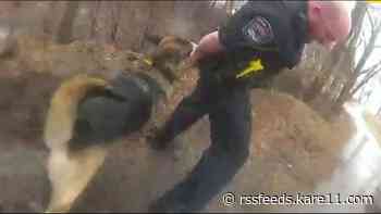 Champlin police officer sues deputy over K9 bites