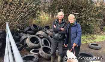 Pensioners left 'angry and astonished' after mountain of 80 tyres dumped on their drive