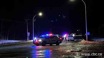 B.C.'s police watchdog investigates after fatal police-involved shooting south of Prince George