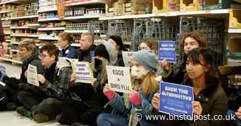 Bristol Animal Rebellion target supermarket eggs in latest stunt