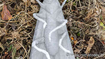 Harvest and Survive, mostra personale di Anna Hulačová