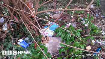 Town council invites residents to pick up litter