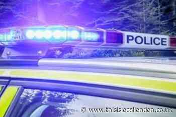 Police appeal for witnesses after a woman was bit by a dog