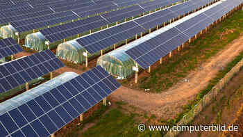 Forscher stellen Gewächshaus mit halbtransparentem Solardach vor