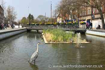 Watford top 3 in UK Vitality Index for best places to live