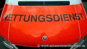 Fußgänger in Pforzheim angefahren: Polizei sucht Kastenwagen mit Calwer Kennzeichen