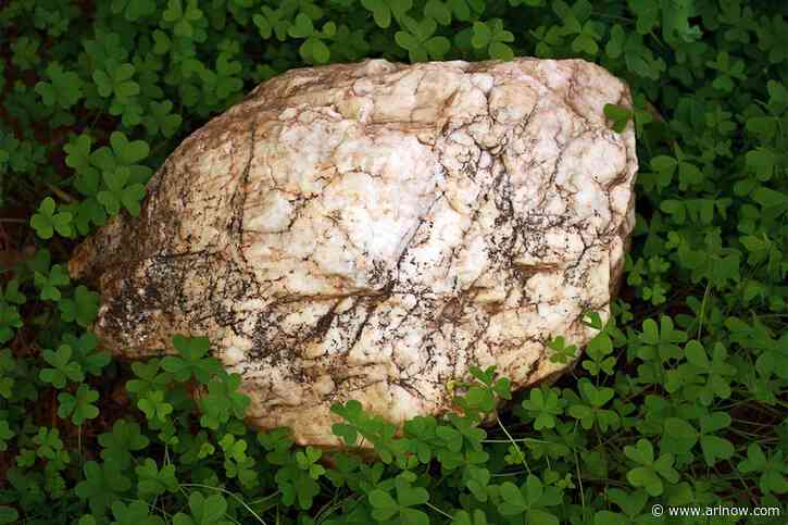 Morning Poll: How are you celebrating St. Patrick’s Day today?