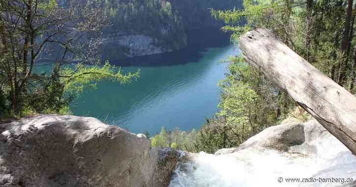 Nationalpark wehrt sich gegen ORH-Kritik an Wildmanagement