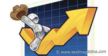 Be a great entrepreneur in the cattle world