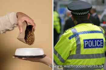 'Dog food thief' strikes in Langley Road, Abbots Langley