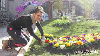 Bunte Blumen und asiatisches Flair: „Frühlingszauber“ auf der Leuchtenburg