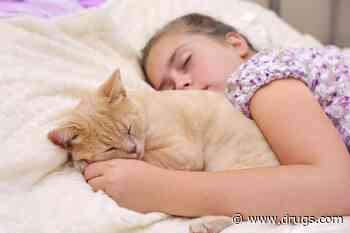 Pets in the Bedroom? Your Sleep Might Suffer, Study Finds