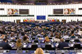 CDU Delbrück will Kandidatin fürs EU-Parlament stellen