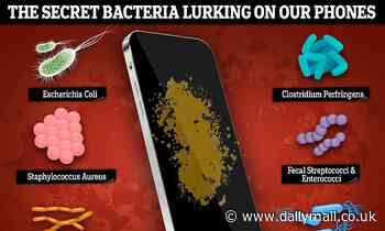 Study reveals the 'invisible life' lurking on the average device - including E.Coli from human POO 