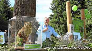 Gibt’s  Geld fürs Walderlebnis?: Bad Herrenalb und der kleine  Tiger Deutschlands