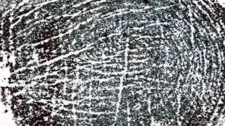 Gerichtsbeschluss: Polizei darf Fingerabdrücke nehmen, um Handy zu entsperren