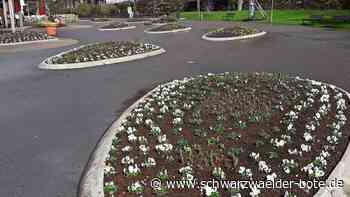 Bad Wildbad wird bunt: Kurpark macht sich fit für den Frühling