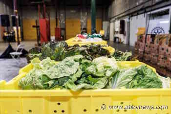 Tiny B.C. island community’s answer to climate change? Feed everyone