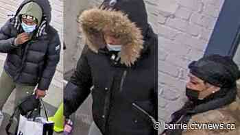 Brampton, Ont. woman charged with kidnapping in Elnaz Hajtamiri abduction investigation