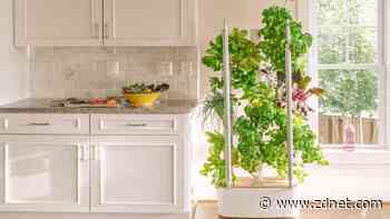 The best indoor gardens of 2023: 5 smart grow rigs