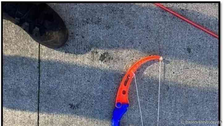 B.C. man arrested for allegedly wielding syringe with needle attached to toy arrow