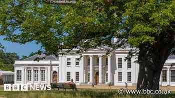 Hylands Park to host Go Ape high rope course