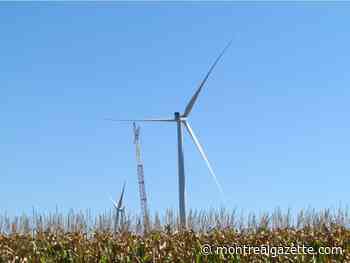 Pierre Fitzgibbon announces call for 1,500 megawatts of wind farms