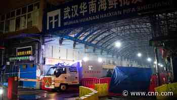 Tantalizing new clue in hunt for Covid-19 origin points to animal source