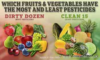 'Superfoods' like blueberries, spinach and kale are laced with dangerous chemicals