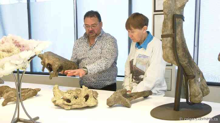 They dig dinosaurs: Symposium brings together amateurs and professionals