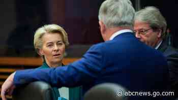 EU moves on clean technology: Subsidies up, free market down