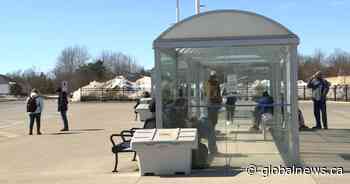 Kingston police arrest 5 suspects in violent bus shelter attack