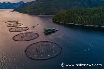 Fisheries and Oceans Canada faces deluge of calls to improve ‘suspect’ science