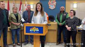 Kamloops councillors unite against mayor's perceived 'chaotic' and 'unpredictable' behaviour