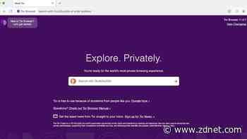 How to use Tor browser (and why you should)