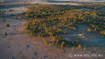 Billion-dollar mining project losing money as company told to seek more funding