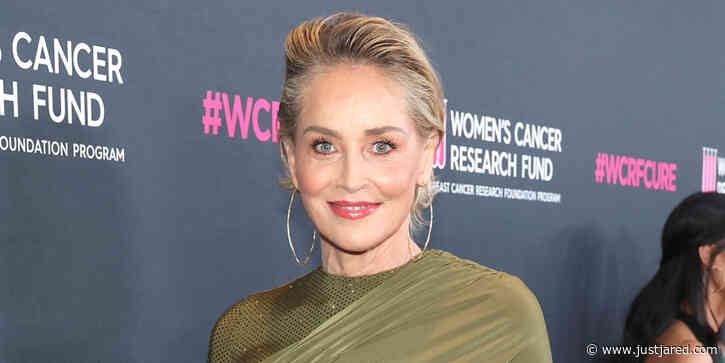 Sharon Stone Says She Lost 'Half' Her Money Amid 'Bank Thing'