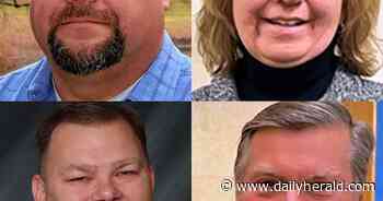 How Hoffman Estates trustee candidates view the disconnection of over 200 western acres