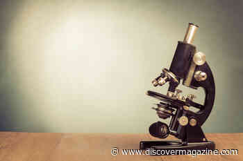 Quantum Imaging Doubles Microscope Resolution