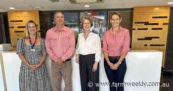 Two-day sale for elite horses