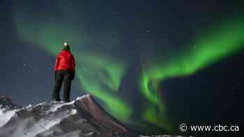 Northern lights, polar bears and belugas get Churchill onto Time Magazine greatest places to travel list