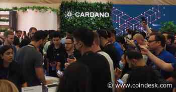 Cardano Blockchain Releases Update to Enhance Network Communication