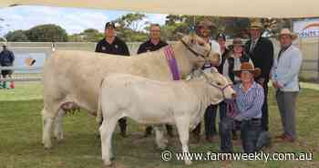 Southend Murray Grey wins supreme award