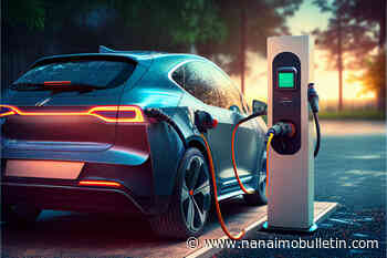 The road to electric vehicle ownership