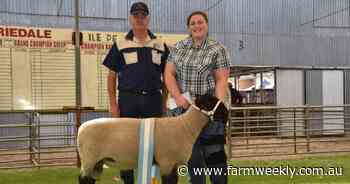 Goldenover strikes gold