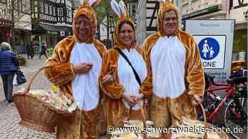 Anzeige: Den Frühling in der Calwer Innenstadt genießen